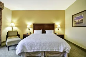 Hampton Inn & Suites North Charleston-University Blvd - Chambre