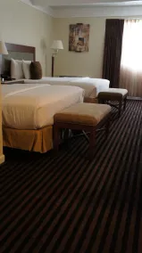 Lexington Inn & Suites NW Chicago Elgin - Chambre