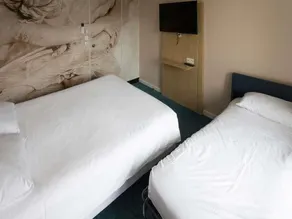 ibis Styles Chinon - Værelse
