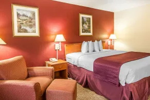 Quality Inn Downtown Convention Center - Room