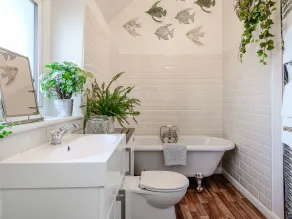 Hoglets - Baño