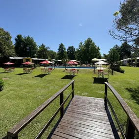 Complejo El Sitio Dorado - Pool
