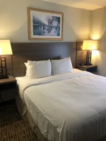 Clarion Pointe Charleston - West Ashley - Room