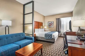 Best Western Plus Greenville I-385 Inn & Suites - Chambre