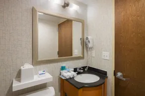 Holiday Inn Express - Times Square by IHG - Banheiro