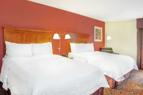 Hampton Inn by Hilton Merrillville - Chambre