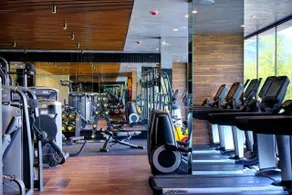 St Ivan Rilski Spa Luxury apartment Bansko & Free SPA - Fitness facility