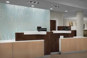 Fairfield Inn & Suites by Marriott Atlanta Lithia Springs - Reception