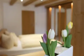 Hotel Thüringer Hof - Zimmer
