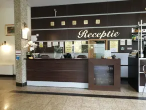 Hotel Piemonte - Reception