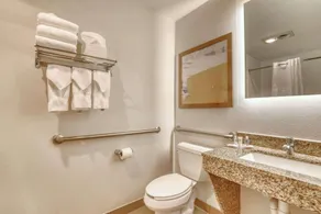 Comfort Suites Milwaukee Airport - Salle de bain