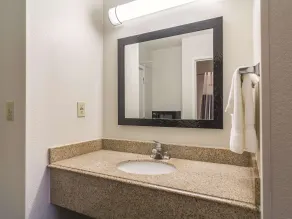 Wingate by Wyndham Brunswick GA I-95 - Bathroom