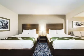 Quality Suites Houston Hobby Airport - Chambre