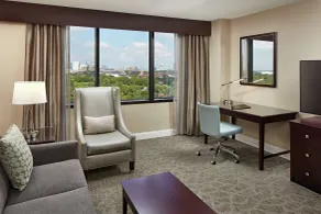 Hilton Houston Plaza/Medical Center - View from room