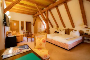 Landhotel der Schafhof Amorbach - Room