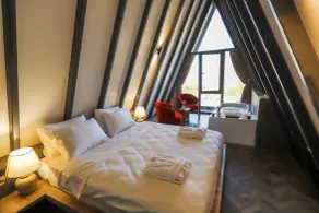 World DREAMS Forest - Room
