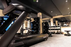 The Royal Bell - Palestra