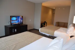 Holiday Inn Express Cheektowaga North East by IHG - Chambre
