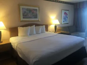Americas Best Value Inn & Suites-Boise - Chambre