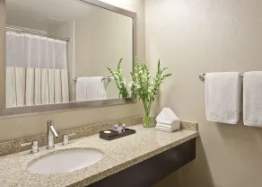 Hyatt Regency O'Hare Chicago - Bathroom