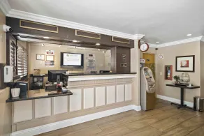The Lemon Tree Hotel - Réception