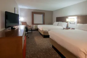 Holiday Inn Express & Suites Nashville-I-40 & I-24(Spence Lane) by IHG - Værelse