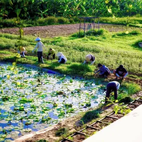 Thanh Chiem Village - Exterior