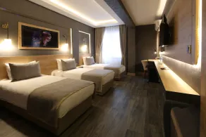 Lalehan City Hotel - Special Class - Habitación