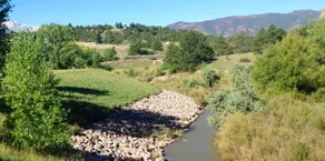 Staybridge Suites Colorado Springs North by IHG - Zimmer
