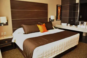 Hotel Real Alameda de Queretaro - Chambre