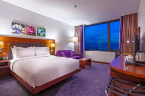 Accom Hotels Sivas - Room