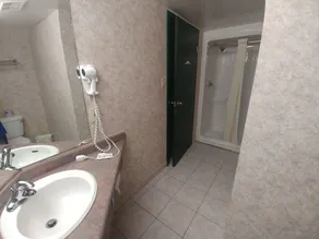 Lexington Inn & Suites-Windsor - Salle de bain