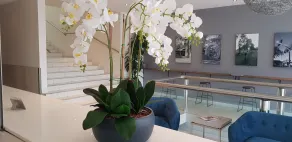The Grand Motel - Reception