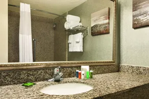 Radisson Hotel Fort Worth North-Fossil Creek - Salle de bain
