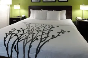 Sleep Inn & Suites Near Columbus - State University Area - Chambre