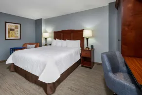 Hampton Inn Denver-International Airport - Chambre