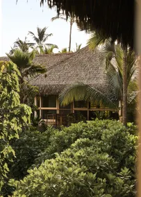 Kona Village A Rosewood Resort - Utsikt fra rommet
