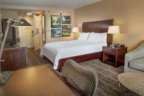Hilton Garden Inn St. Louis Airport - Chambre