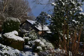 Llethrau Forest & Nature Retreats - Room