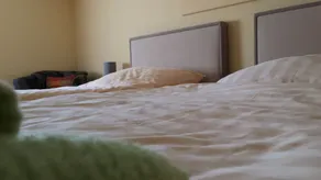 Zum Alten Fährhaus - Bed & Breakfast - Room