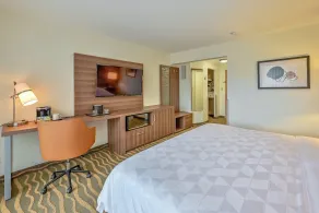 Holiday Inn San Jose La Sabana by IHG - Room