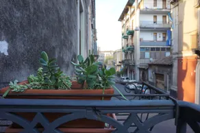 Palazzo Speciale B&B - View from room