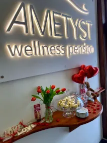 Pension Ametyst - Réception