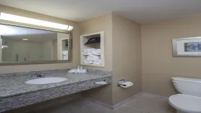 Holiday Inn Express Hotel & Suites Morgan City- Tiger Island by IHG - Salle de bain