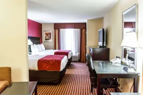 Comfort Suites Palm Bay - Melbourne - Chambre