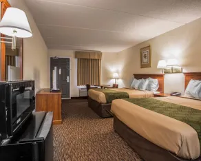 Econo Lodge Inn & Suites Lugoff - Værelse