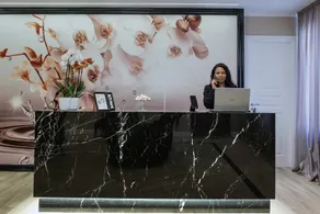 The Boutique Hotel - Reception