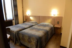 Hôtel du Lion - Chambre