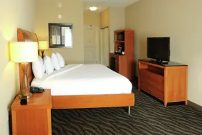 Hilton Garden Inn Chesapeake/Suffolk - Zimmer