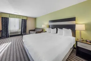 Best Western Borger Inn - Room
